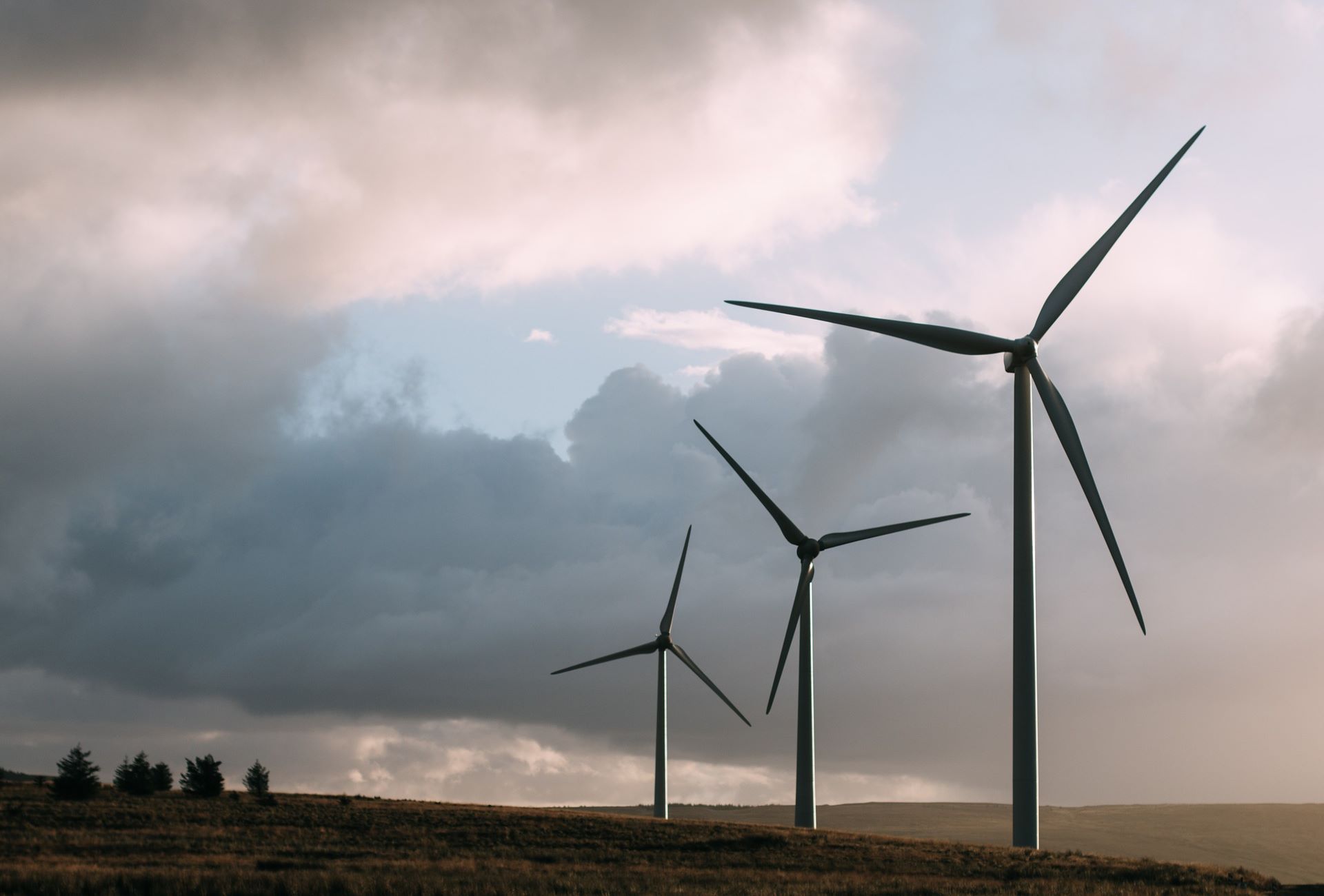 ESIX pozyskał kolejny temat w zakresie wyprowadzenia mocy z farmy wiatrowej.